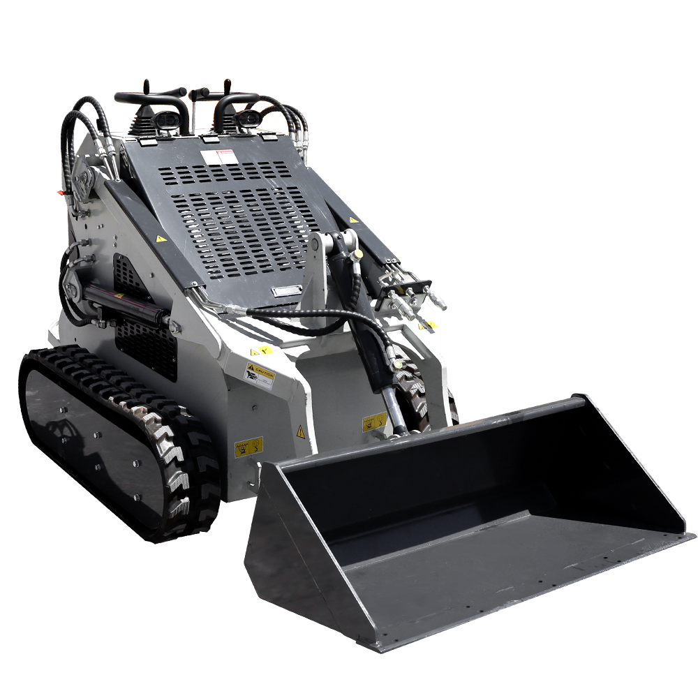 Skid Steer Loader 1
